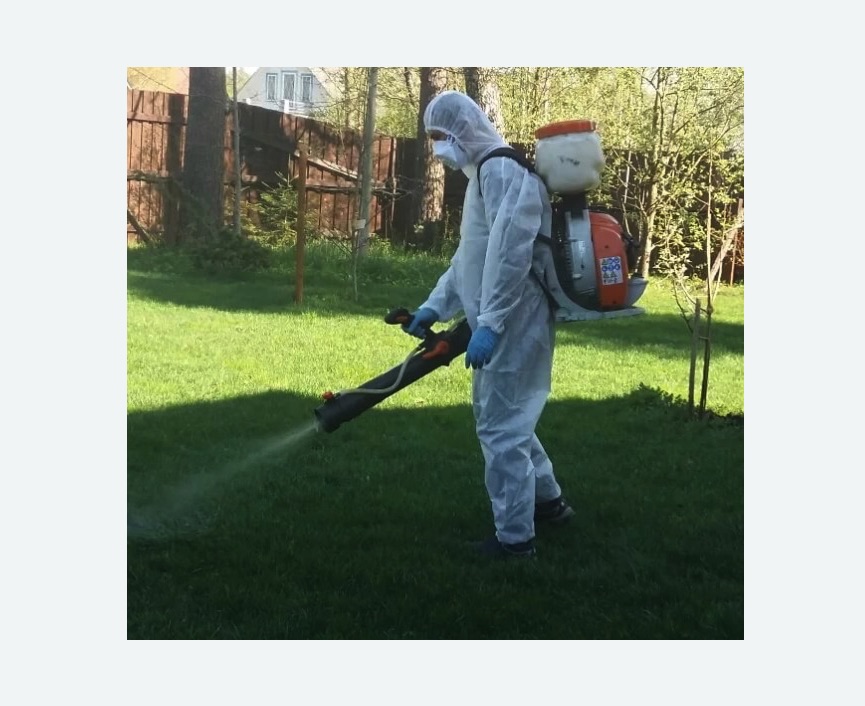 Обработка территории от клещей в Буинске