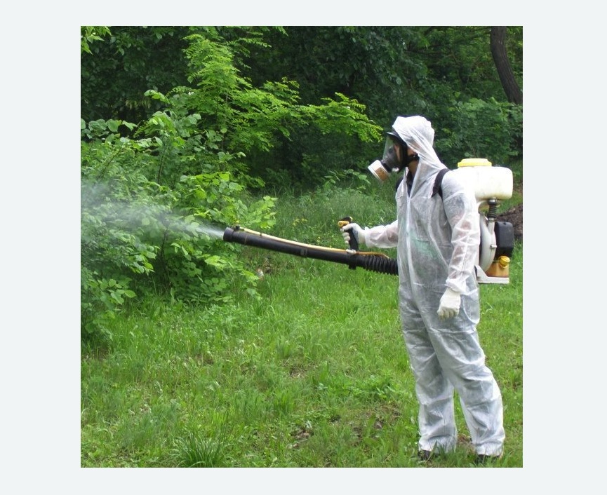 обработка территории от клещей в Буинске