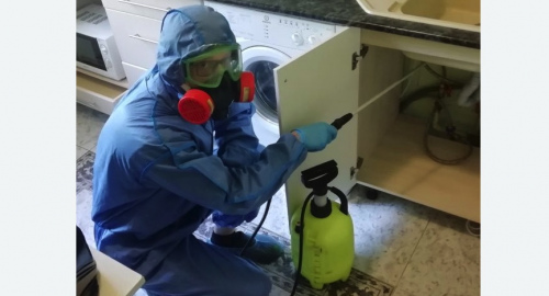 Уничтожение муравьев в квартире. Буинск