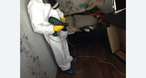 Обработка квартир от насекомых в Буинске