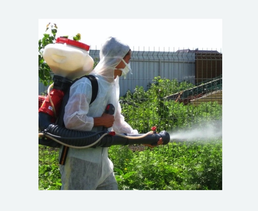 Акарицидная обработка территории в Буинске