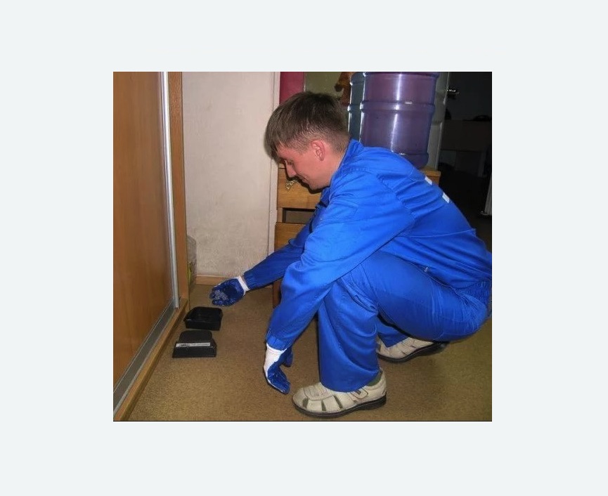 Дератизация крыс в Буинске