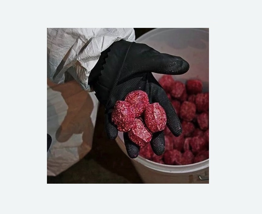 Обработка от крыс в Буинске