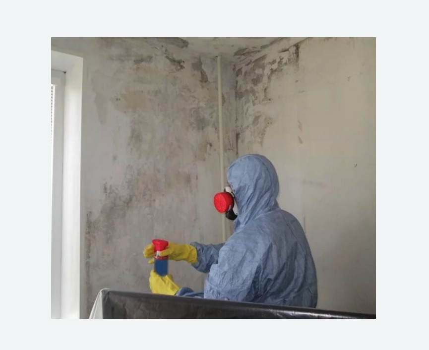 Удаление плесени в квартире в Буинске
