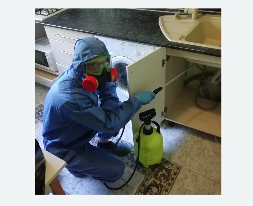 обработка от муравьев в квартире в Буинске