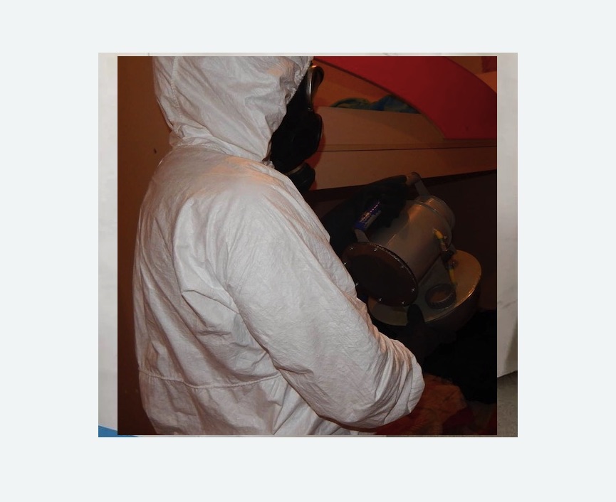 Дезинфекция от муравьев в Буинске