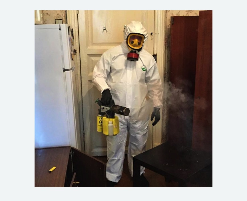 уничтожение муравьев в квартире в Буинске